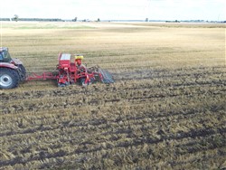 Winter rapeseed Strip Till Drill RSL, Laumetris