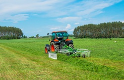 Grėblys Z-300, Samasz-Laumetris Grėblys Z-300, Samasz-Laumetris