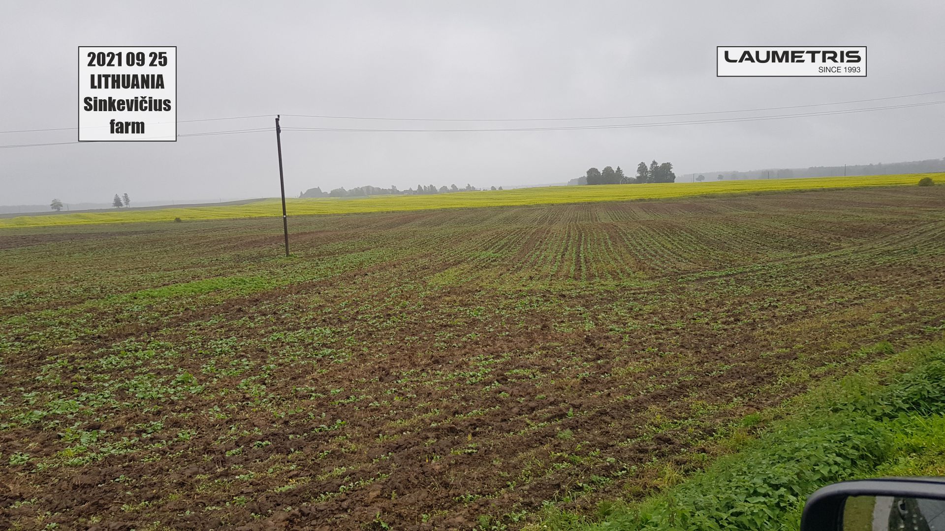 Juostinės sėjos rezultatai 2021-2022, Laumetris