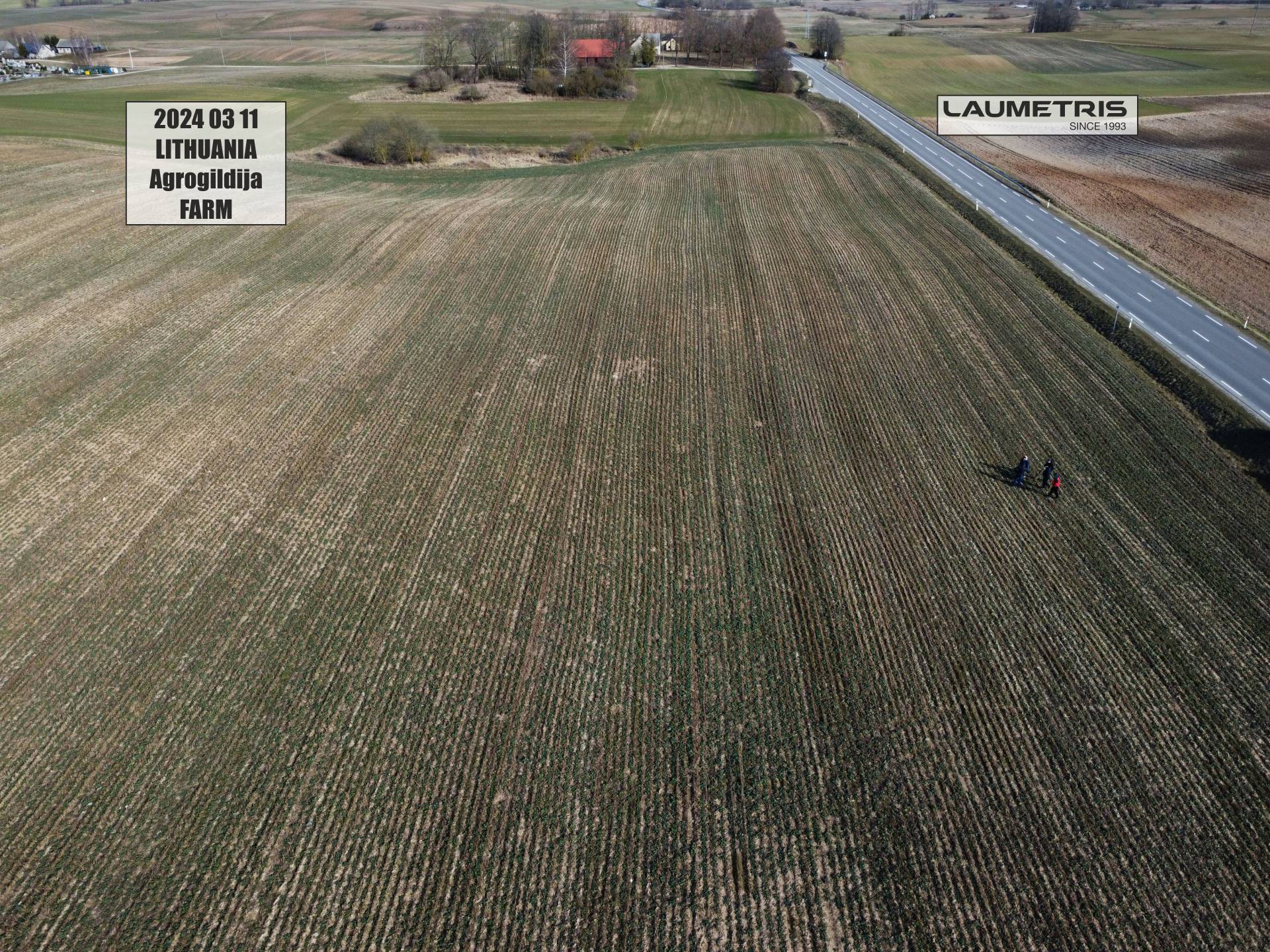 Juostinės sėjos rezultatai 2023-2024, Laumetris