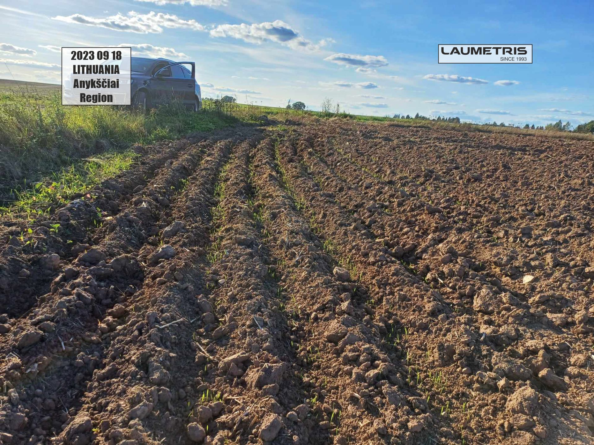 Juostinės sėjos rezultatai 2023-2024, Laumetris