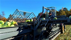 Cabbage Conveyor Semitrailer PTL-5CC, Laumetris Cabbage Conveyor Semitrailer PTL-5CC, Laumetris