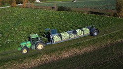 Cabbage Conveyor Semitrailer PTL-5CC, Laumetris Cabbage Conveyor Semitrailer PTL-5CC, Laumetris