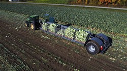 Cabbage Conveyor Semitrailer PTL-5CC, Laumetris Cabbage Conveyor Semitrailer PTL-5CC, Laumetris