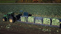 Cabbage Conveyor Semitrailer PTL-5CC, Laumetris Cabbage Conveyor Semitrailer PTL-5CC, Laumetris